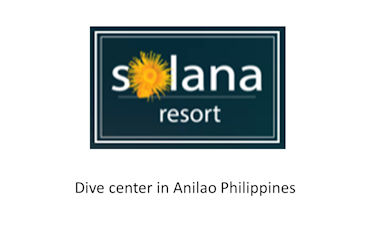 Dive Solana