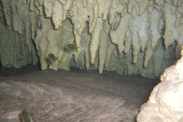 Cenote